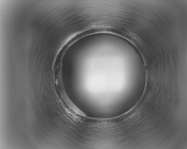 X0000057061022200510010102