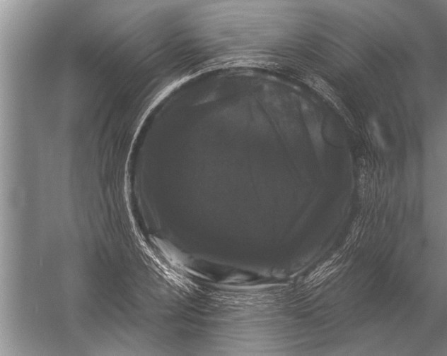 X0000057061024200510010102