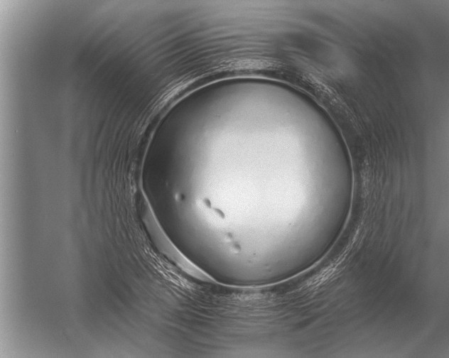 X0000057061025200510010102