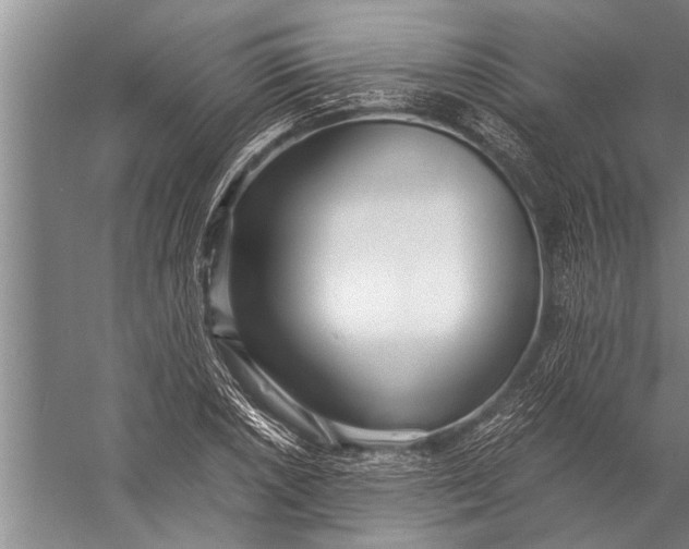 X0000057061026200510010102