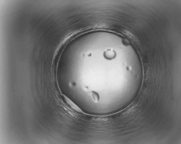 X0000057061027200510010102