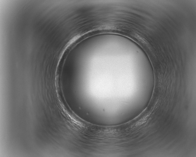 X0000057061029200510010102