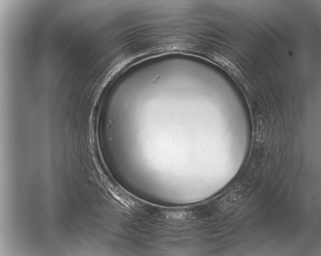 X0000057061031200510010102