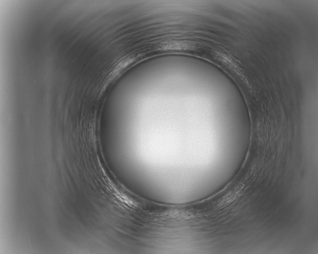 X0000057061033200510010102