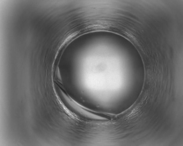 X0000057061034200510010102