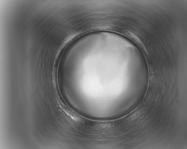 X0000057061035200510010102