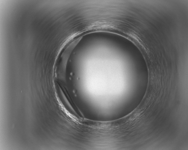 X0000057061038200510010102