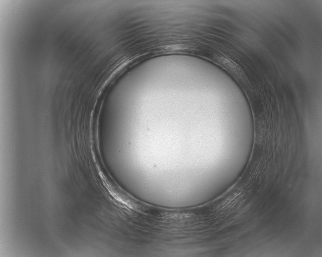 X0000057061039200510010102