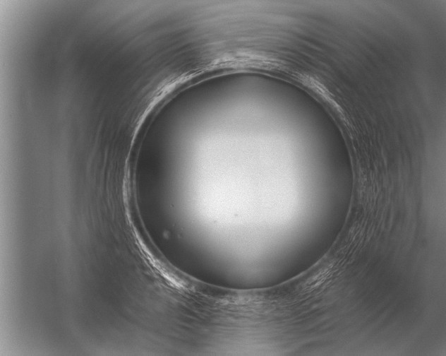 X0000057061040200510010102