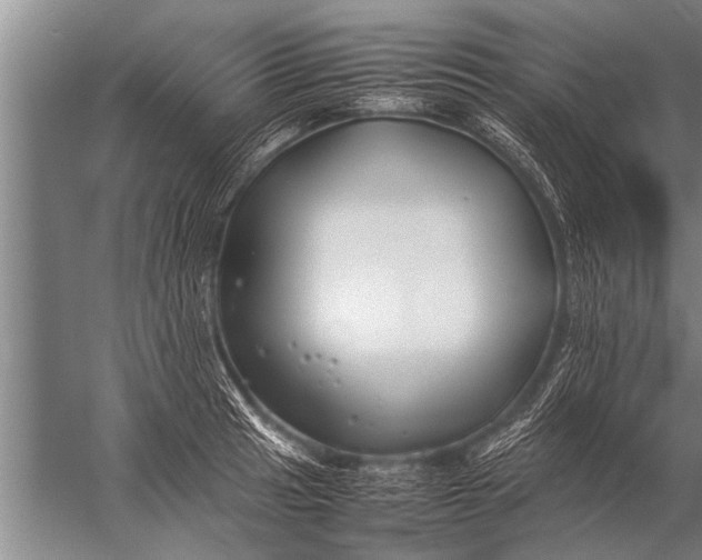 X0000057061041200510010102