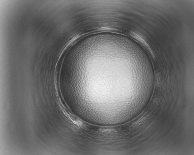 X0000057061043200510010102