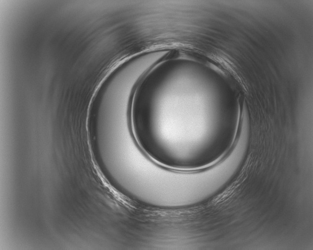 X0000057061046200510010102