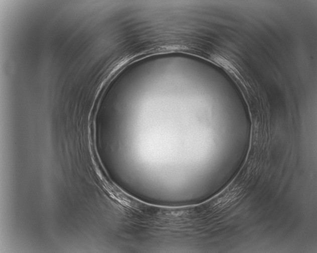 X0000057061047200510010102