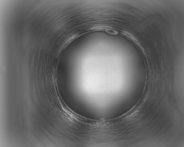 X0000057061049200510010102