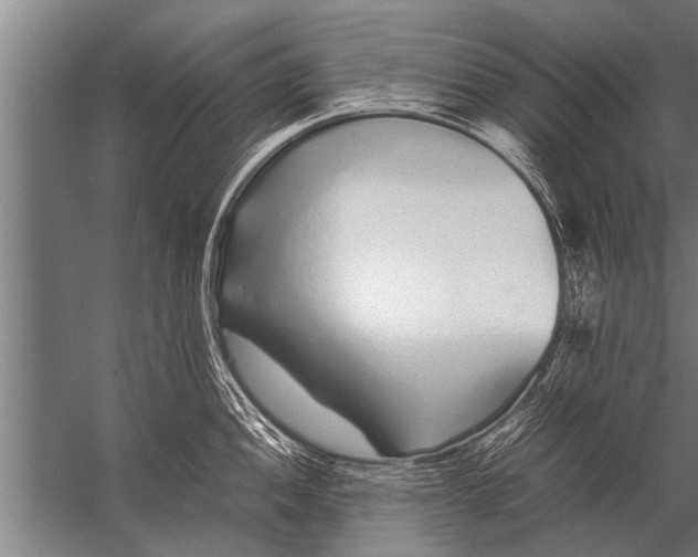 X0000057061052200510010102