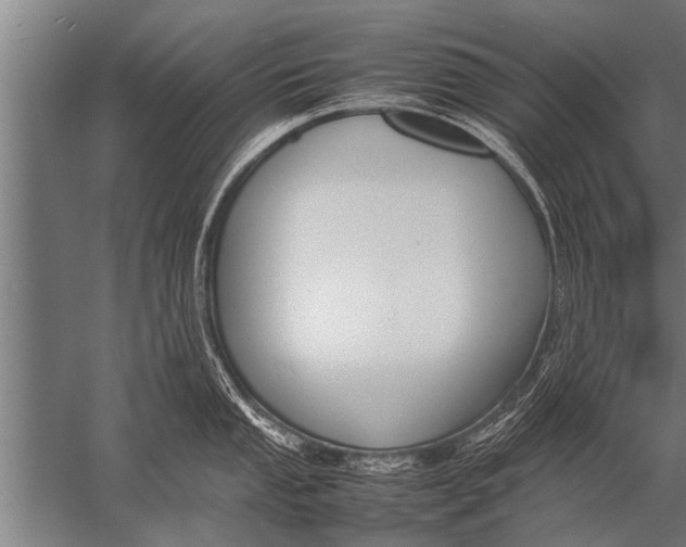 X0000057061053200510010102