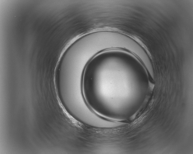 X0000057061054200510010102