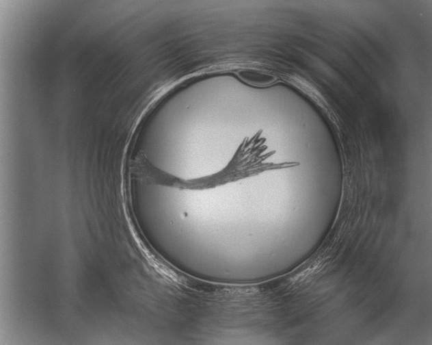 X0000057061055200510010102