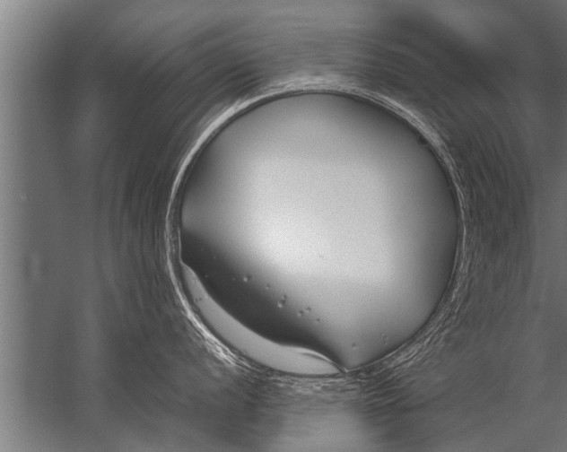 X0000057061056200510010102