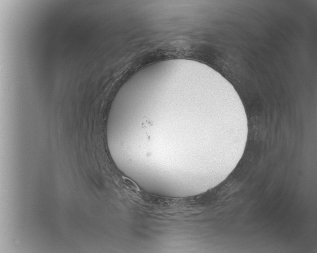 X0000057061057200510010101