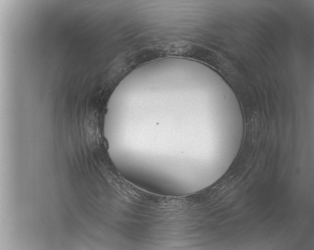 X0000057061058200510010101