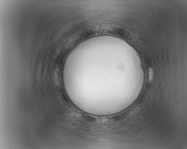 X0000057061059200510010101