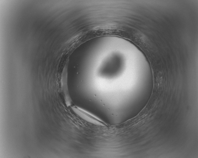 X0000057061062200510010101