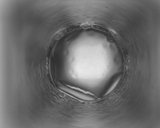 X0000057061063200510010101