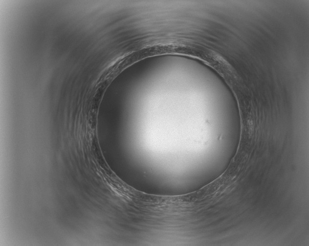 X0000057061064200510010101