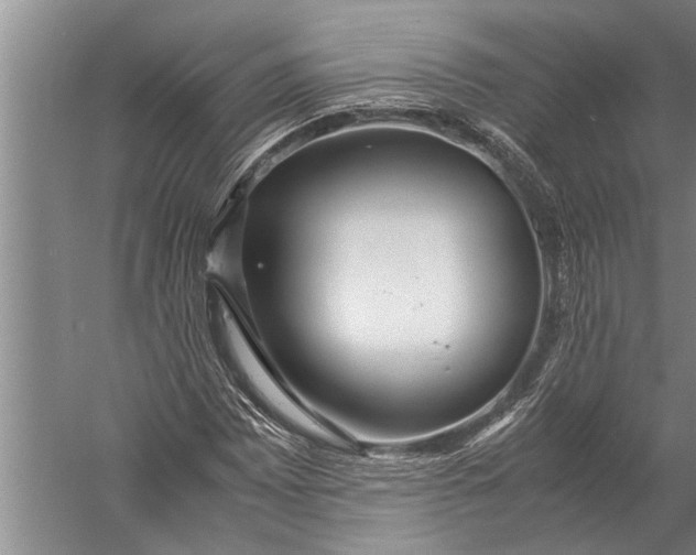 X0000057061065200510010101