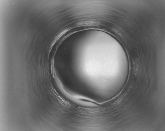 X0000057061066200510010101