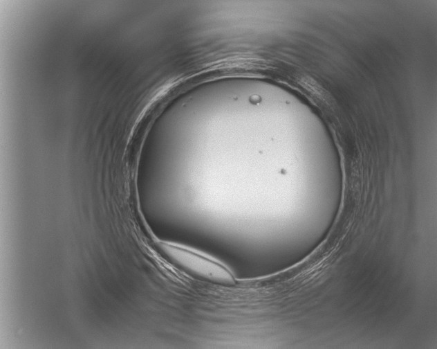 X0000057061067200510010101