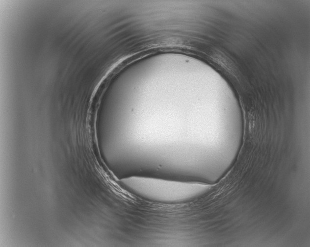 X0000057061068200510010101