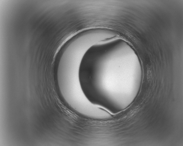 X0000057061069200510010101