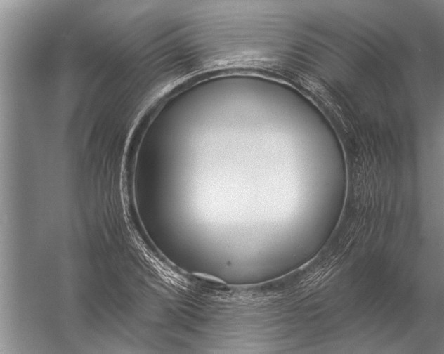 X0000057061072200510010101