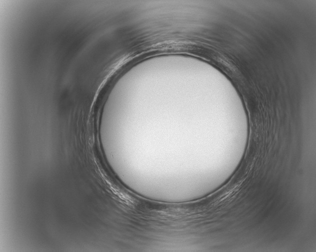 X0000057061075200510010101