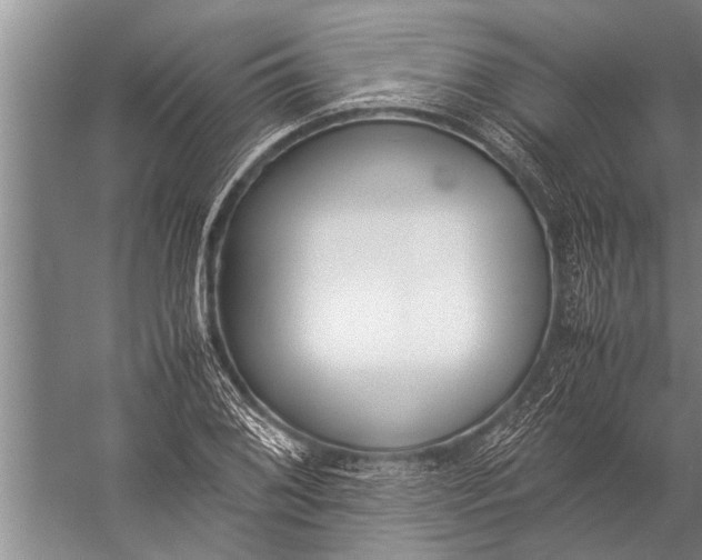 X0000057061076200510010101