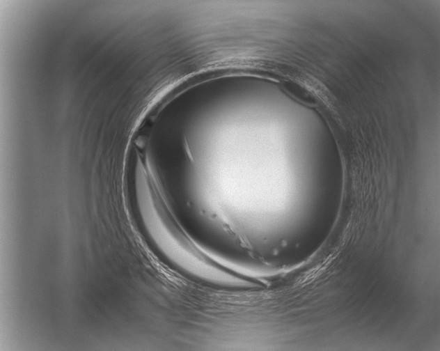 X0000057061077200510010101