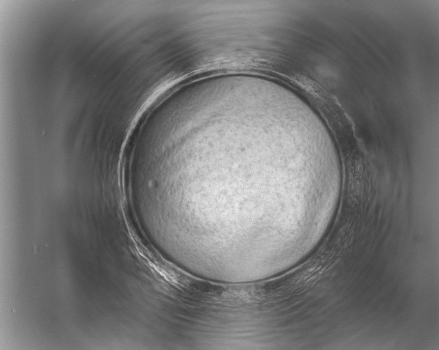 X0000057061078200510010101