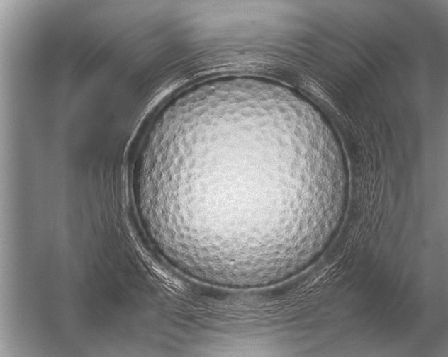 X0000057061079200510010101