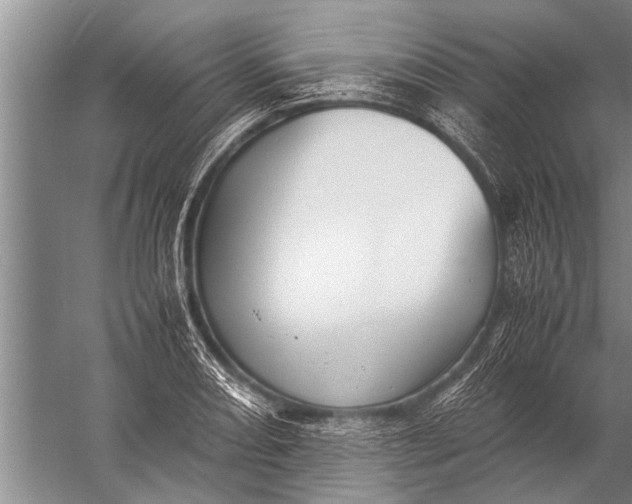 X0000057061082200510010101