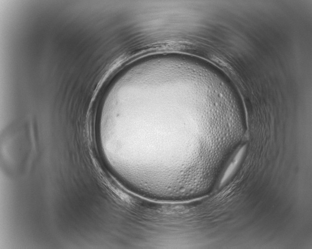 X0000057061083200510010101