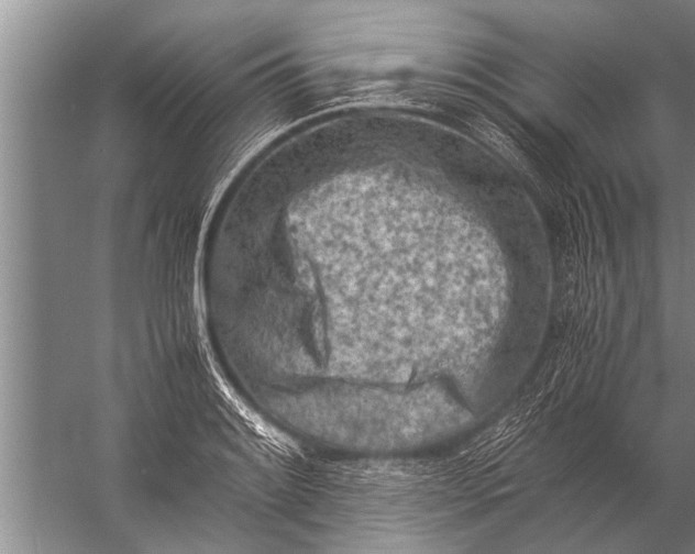 X0000057061084200510010101