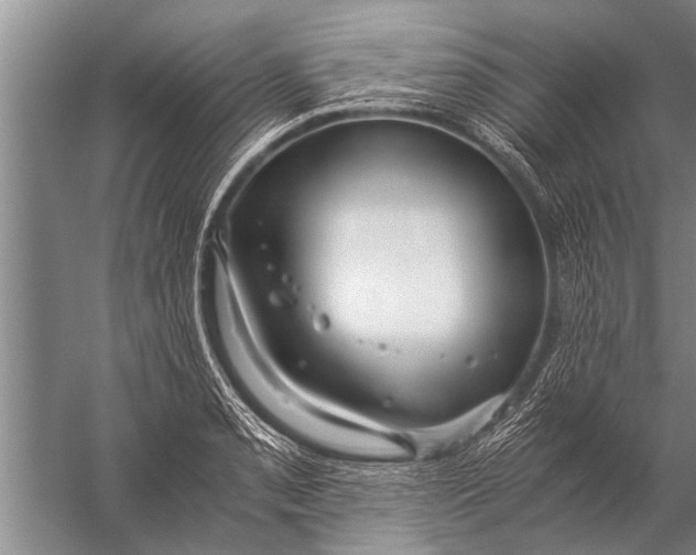 X0000057061085200510010101