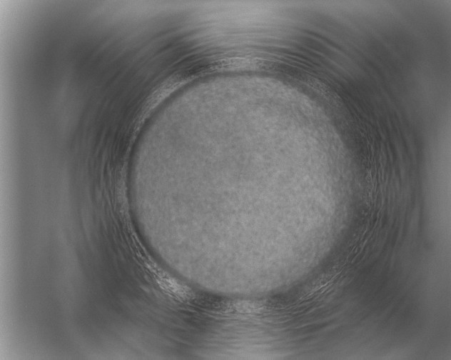 X0000057061086200510010101