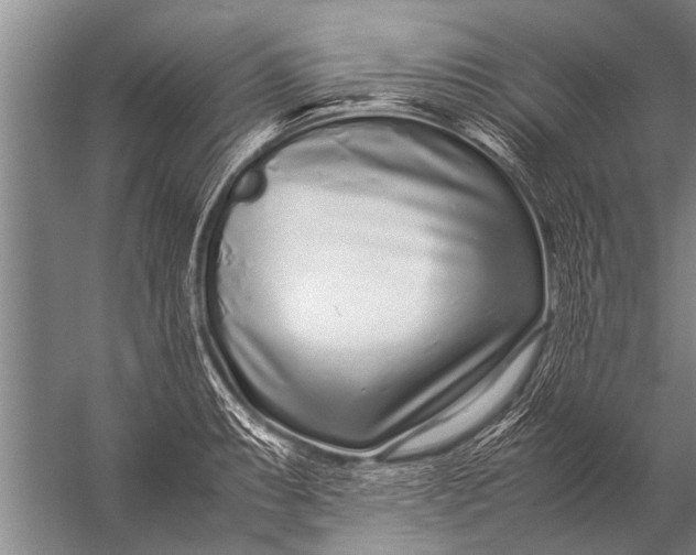 X0000057061087200510010101