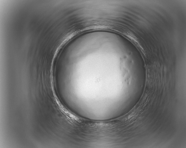 X0000057061088200510010101