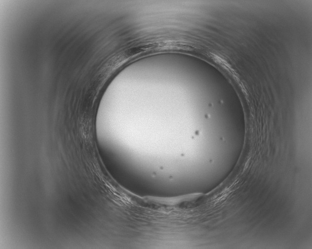 X0000057061089200510010101