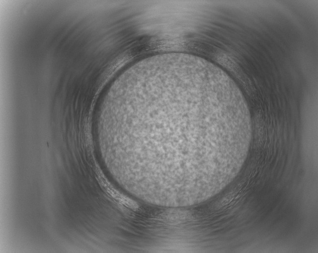 X0000057061090200510010101