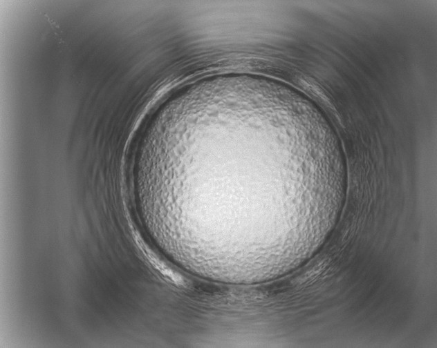 X0000057061091200510010101